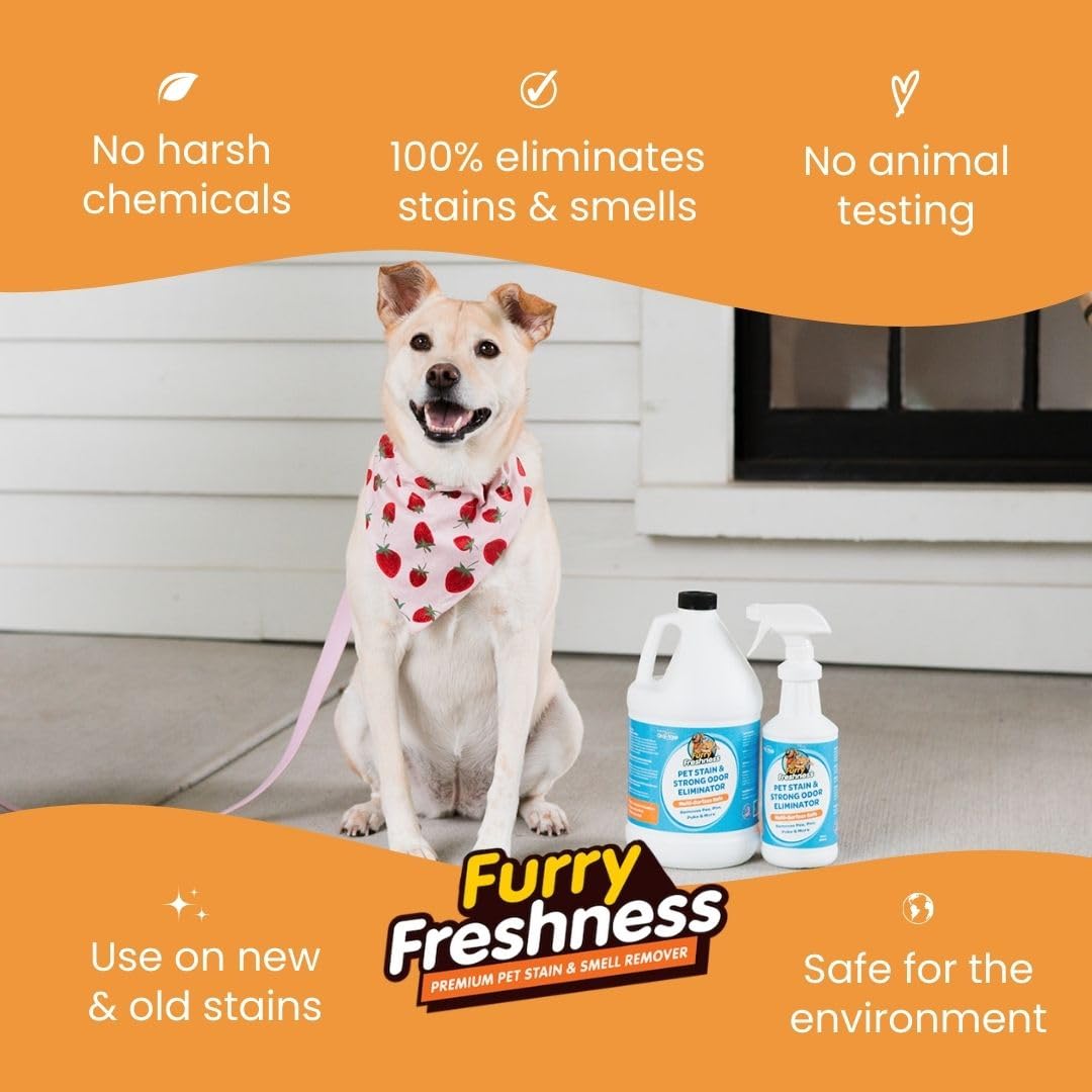 FurryFreshness Extra Strength Cat or Dog Pee Stain & Permanent Odor Remover + Smell Eliminator -Removes Stains from Pets & Kids Including Urine or Blood- Lifts Old Carpet Stains- (Gallon)