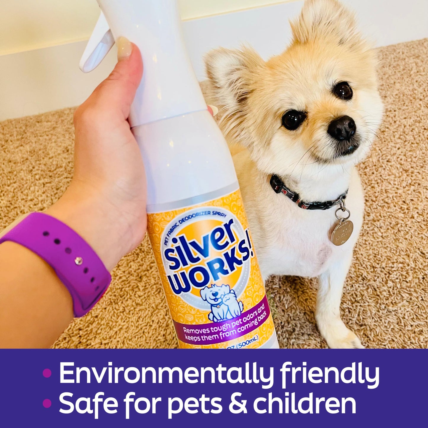 SilverWorks! Pet Odor Eliminator Spray For Home - Safe, Natural, Silver Ion Deodorizer - Cat, Dog Smell And Urine Odor Eliminator For Carpet, Furniture And Litter -16.9oz